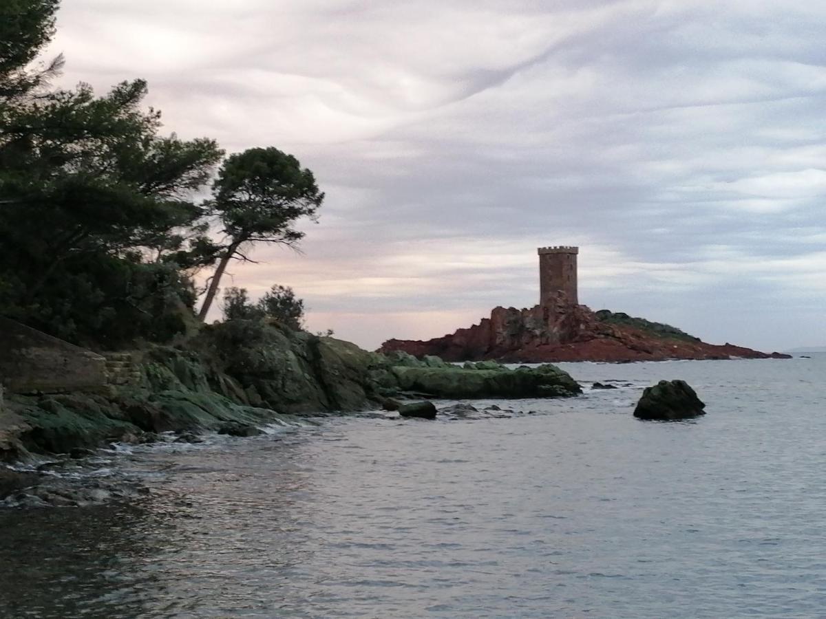 ホテル Voilier De Charme A Quai Saint-Raphaël エクステリア 写真